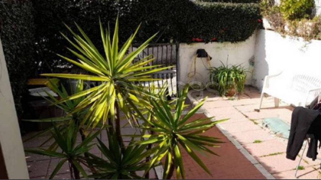 immagine annuncio 4 di 11