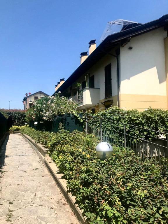 immagine annuncio 7 di 15