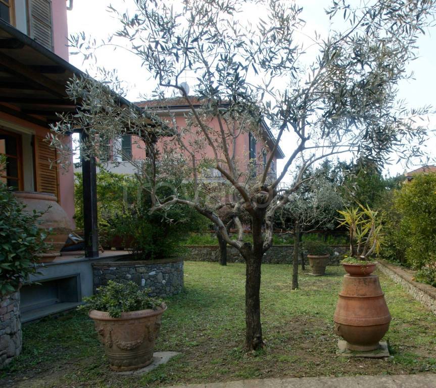 immagine annuncio 4 di 11