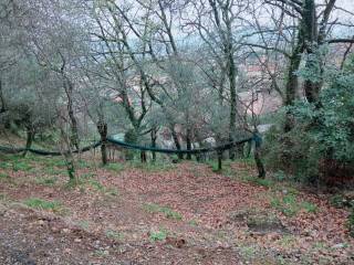 Terreno residenziale in vendita ad ameglia 