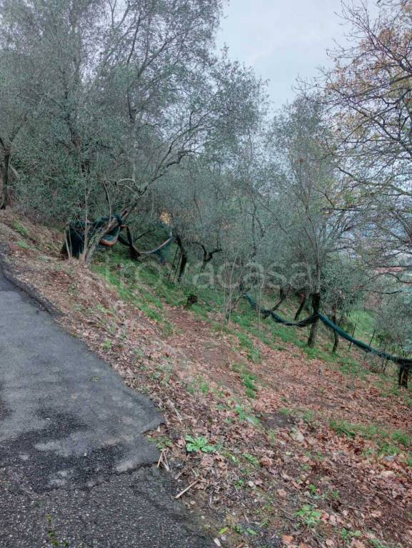 immagine annuncio 5 di 8