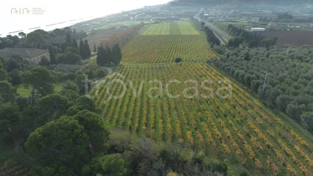 immagine annuncio 1 di 4