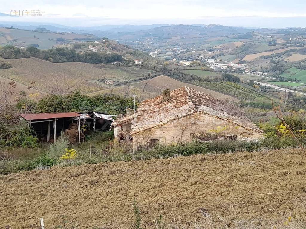 immagine annuncio 1 di 4