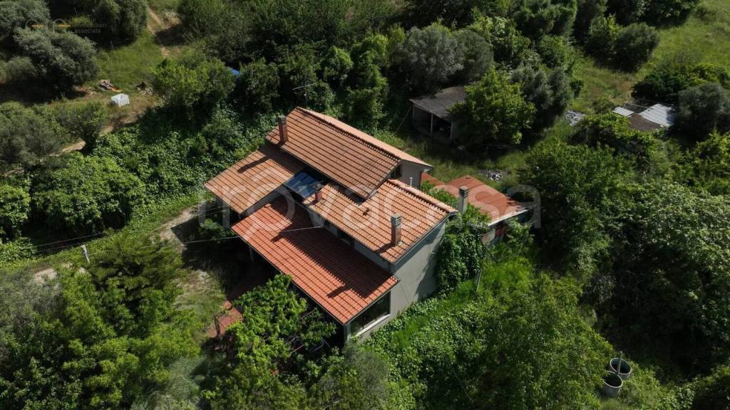 immagine annuncio 2 di 14