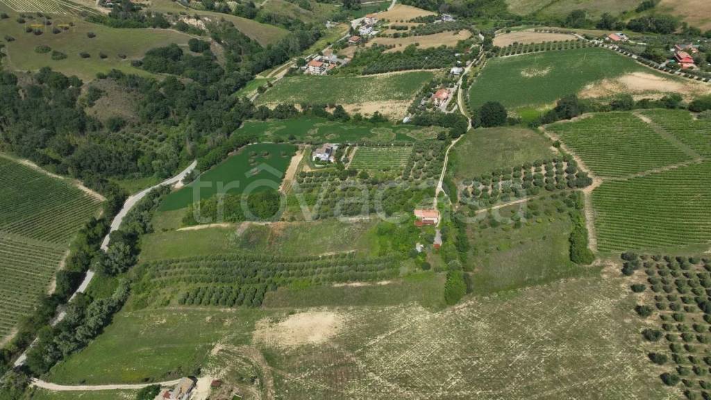 immagine annuncio 6 di 14