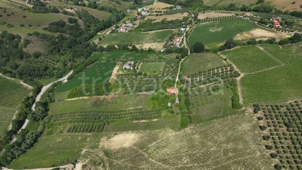 immagine annuncio 7 di 14