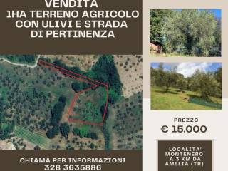 Terreno agricolo in vendita ad amelia strada di montenero, 23