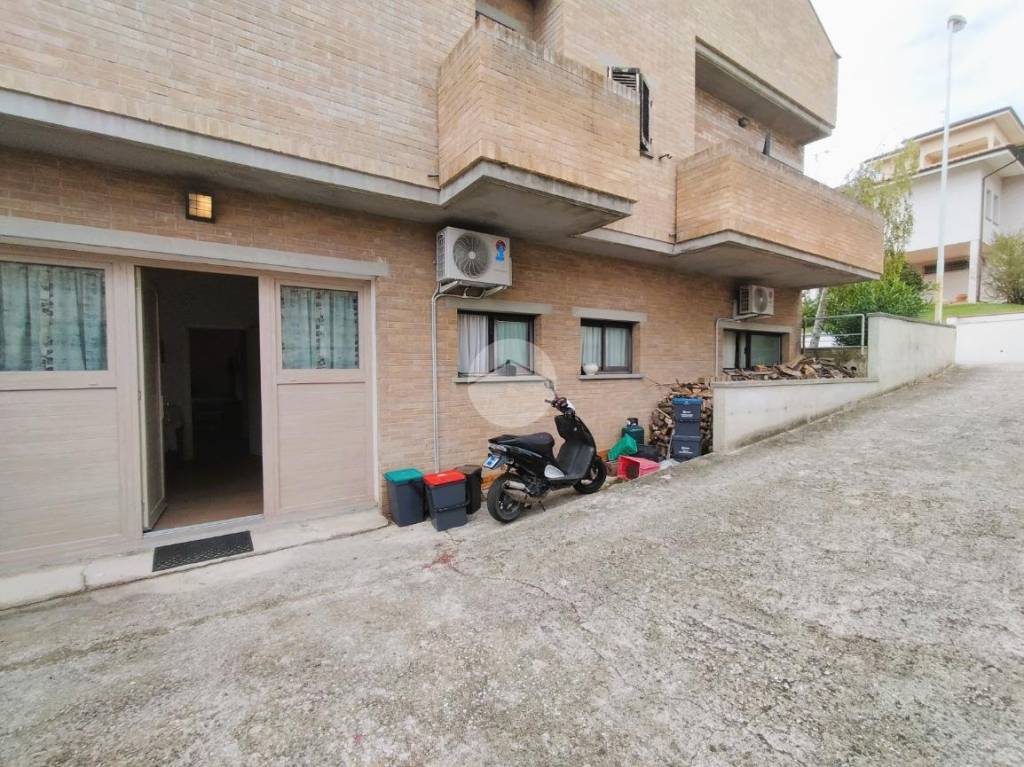 immagine annuncio 1 di 14