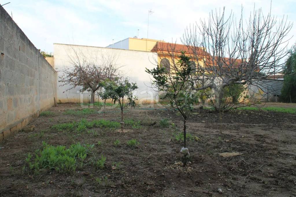 immagine annuncio 4 di 8