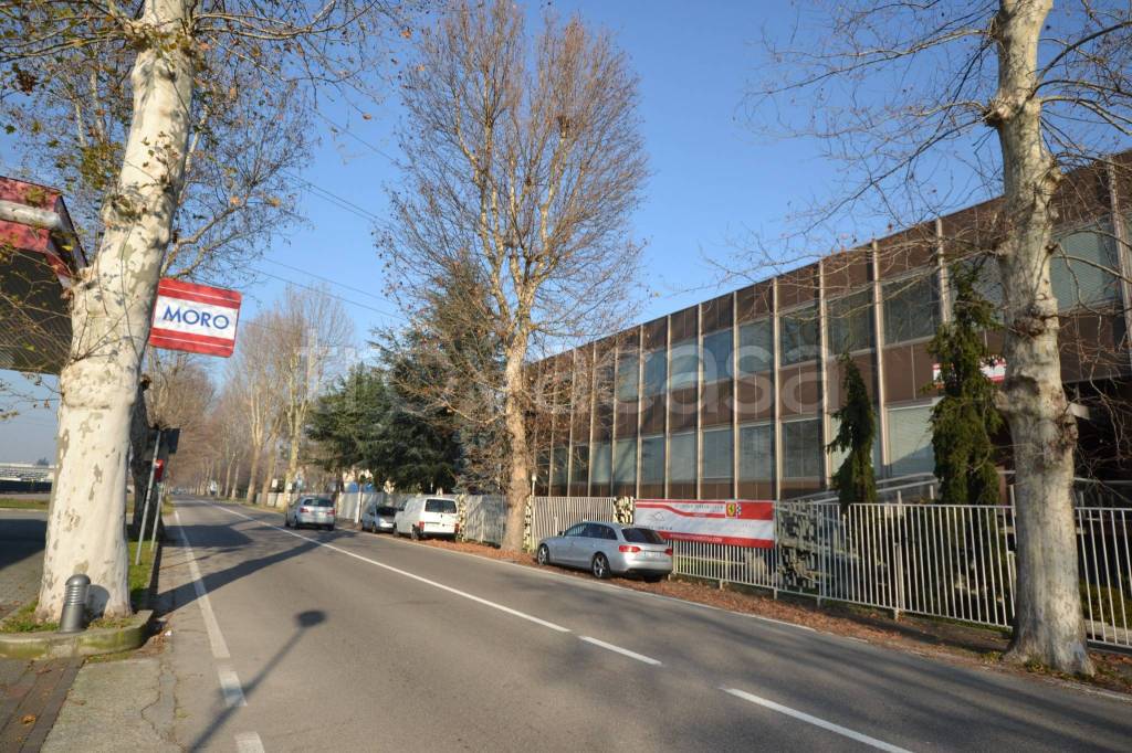 immagine annuncio 10 di 11