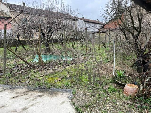 immagine annuncio 2 di 6