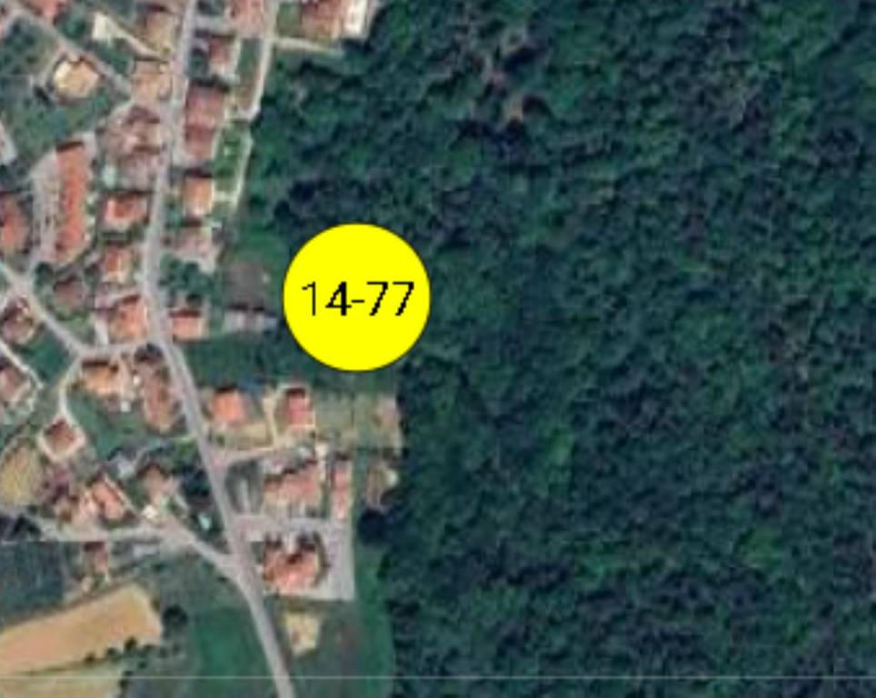 immagine annuncio 9 di 11