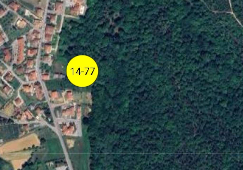 immagine annuncio 10 di 11