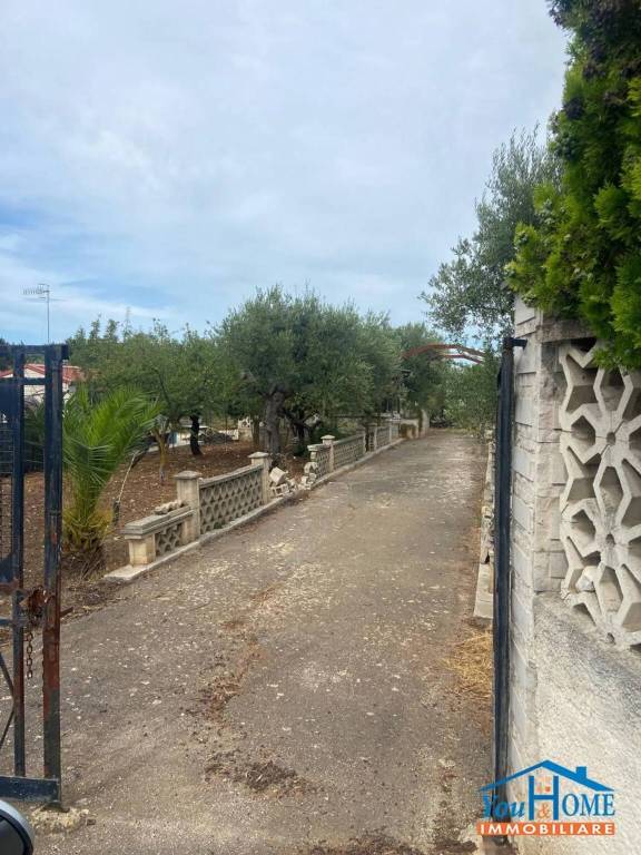 immagine annuncio 4 di 9