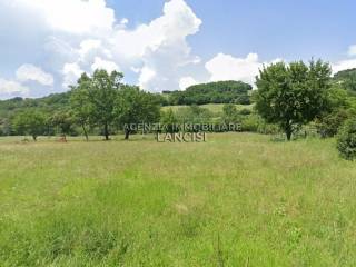 Terreno agricolo in vendita a sansepolcro 