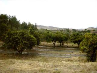 Terreno agricolo in vendita a mazzarino sp13