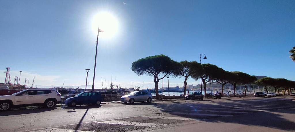 immagine annuncio 1 di 14