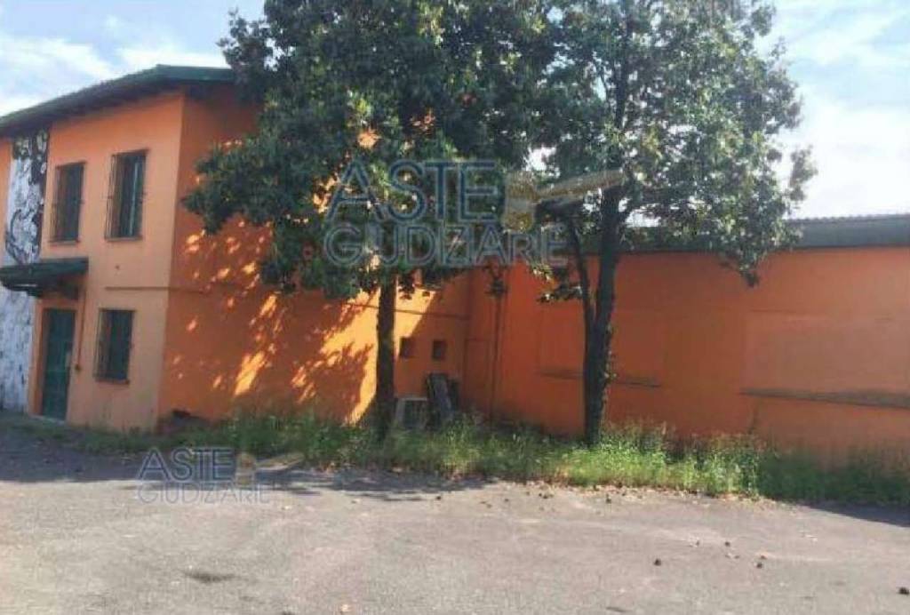 immagine annuncio 1 di 13