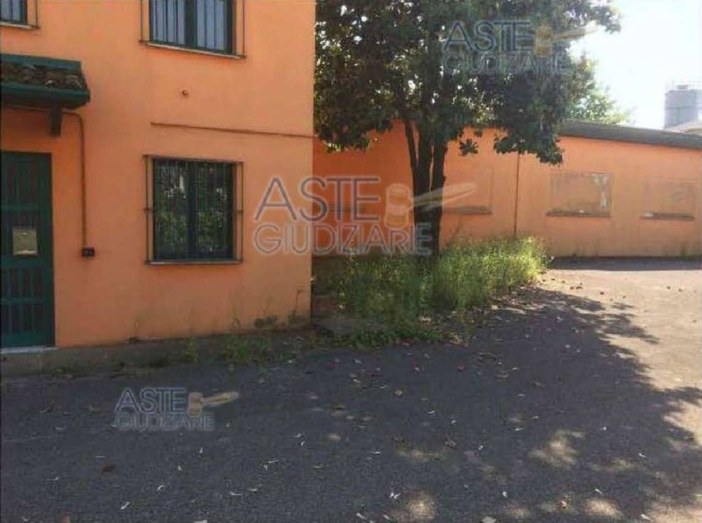 immagine annuncio 3 di 13