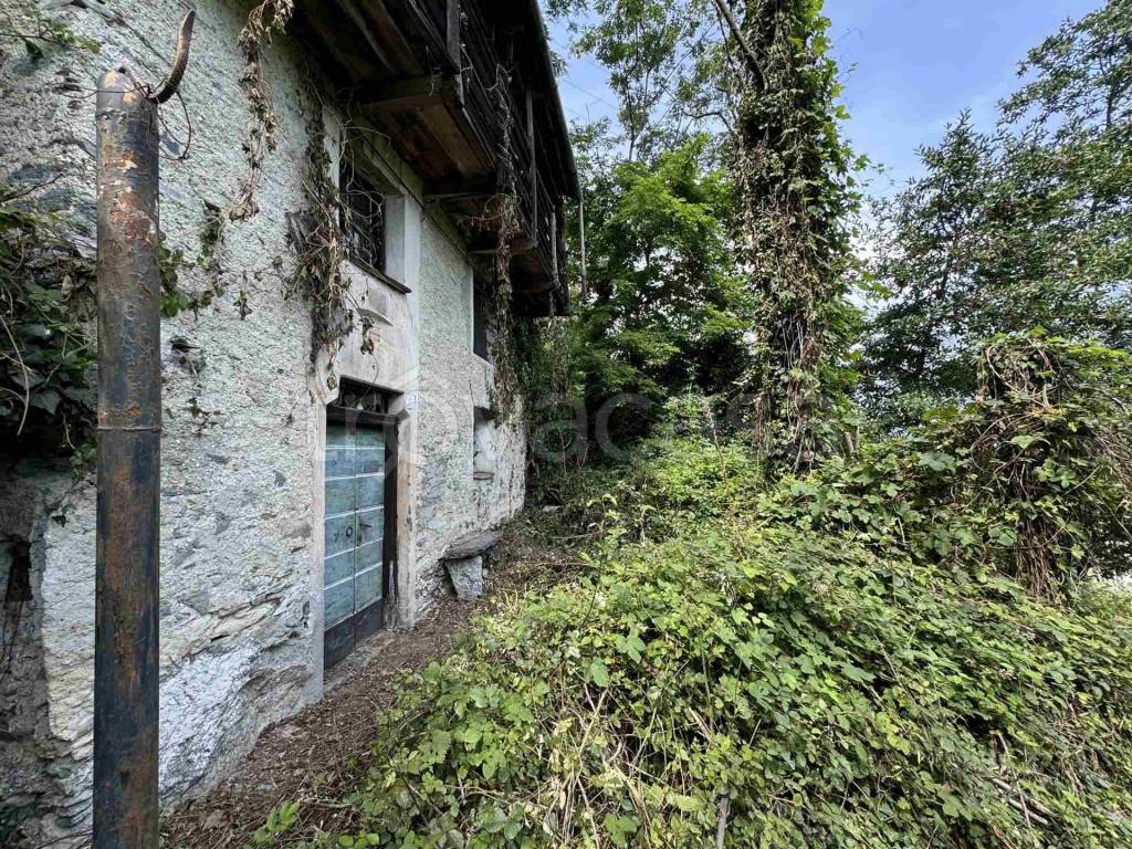 immagine annuncio 5 di 8