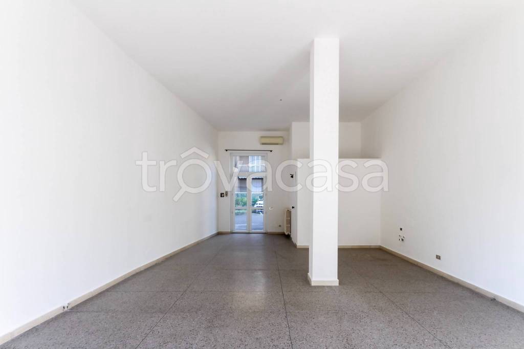 immagine annuncio 3 di 8