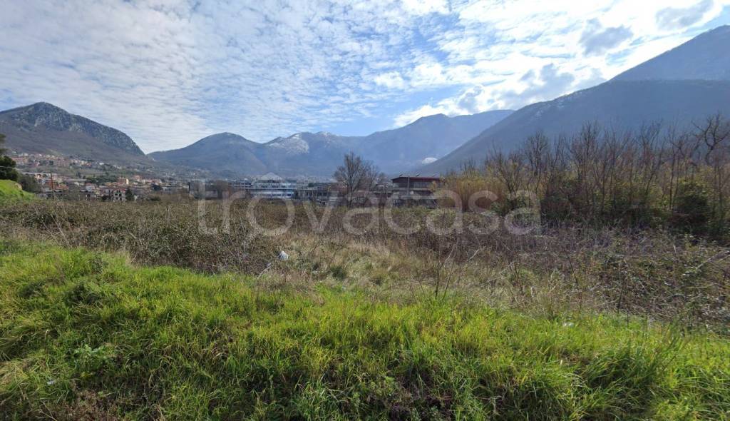 immagine annuncio 5 di 6