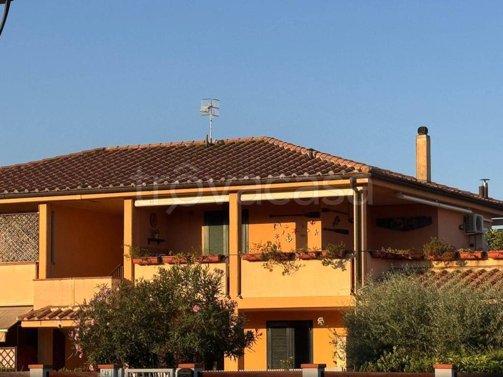 immagine annuncio 10 di 13