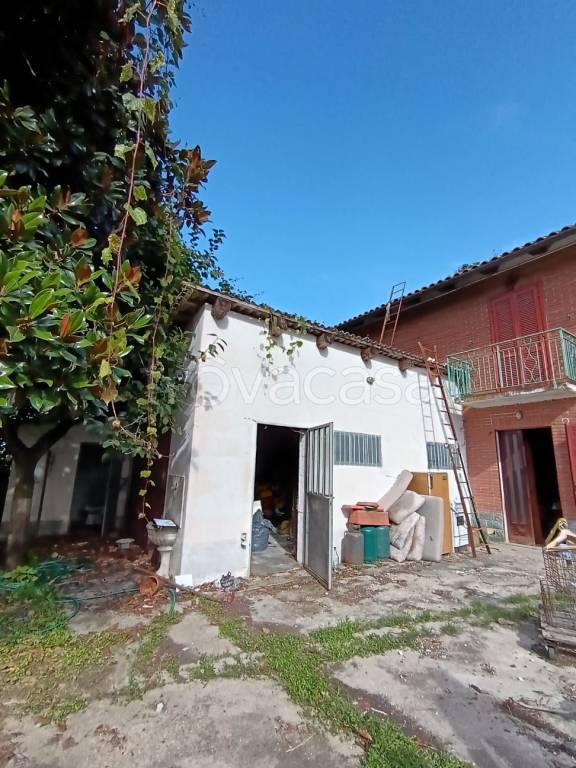 immagine annuncio 11 di 15