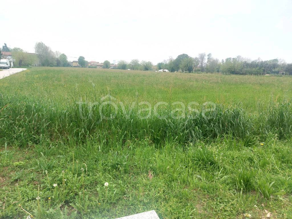 immagine annuncio 3 di 12