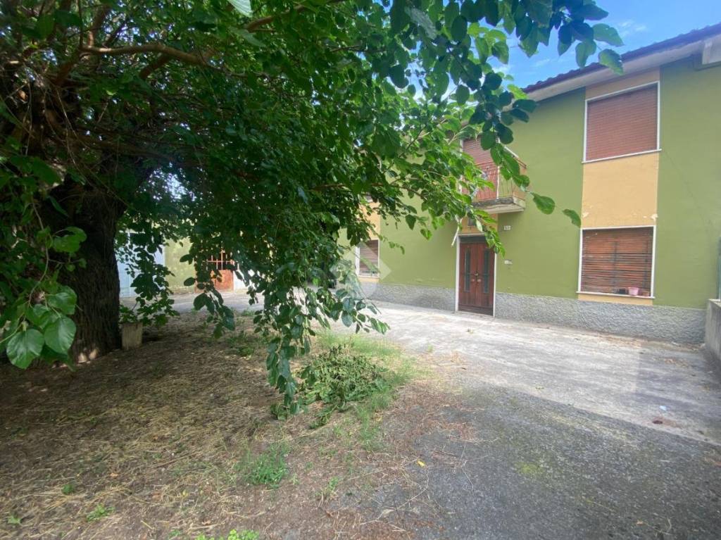 immagine annuncio 1 di 14