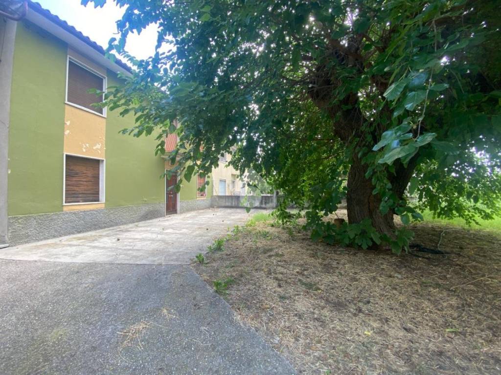 immagine annuncio 2 di 14