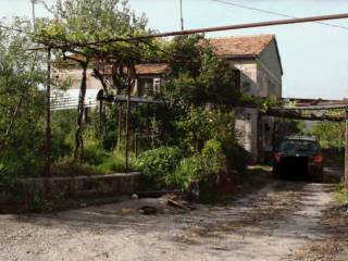 Azienda agricola all'asta a nusco contrada lago