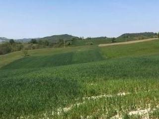 Terreno agricolo in vendita a fortunago località alba nuova