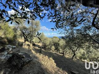 Terreno agricolo in vendita a cipressa localitã  neciazze- favã