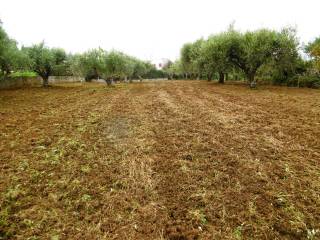 Terreno agricolo in vendita a naso contrada ponte di naso, 116