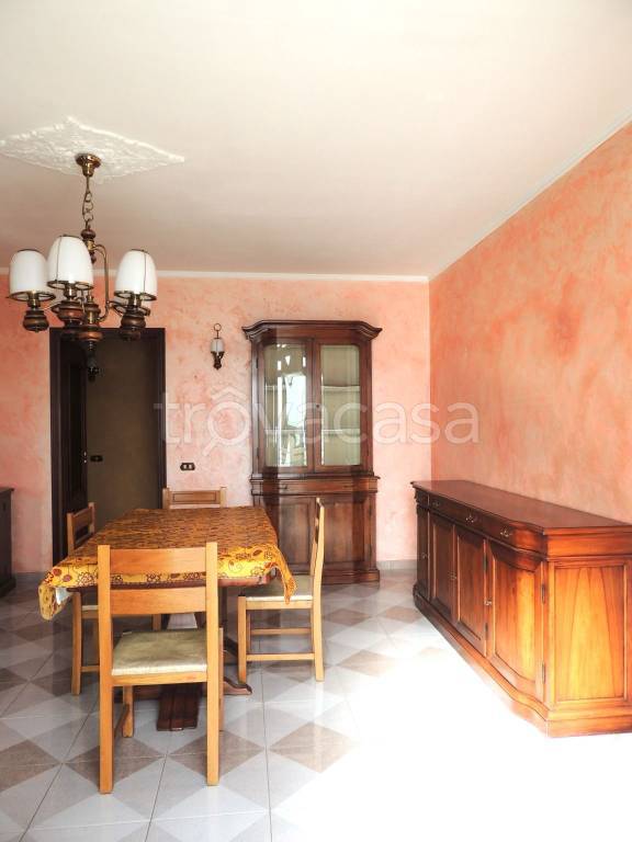 immagine annuncio 1 di 14