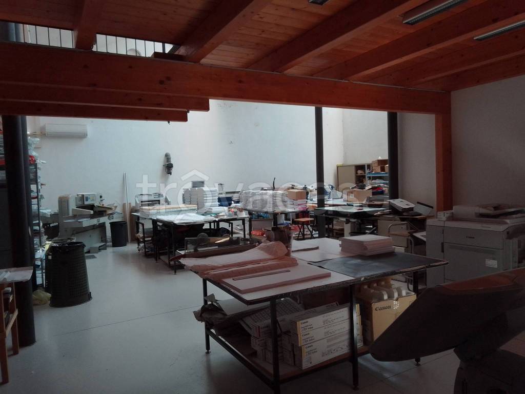 immagine annuncio 2 di 6
