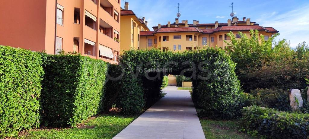 immagine annuncio 12 di 13