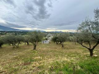 Terreno agricolo in vendita a veroli via aia cianchetti, 2