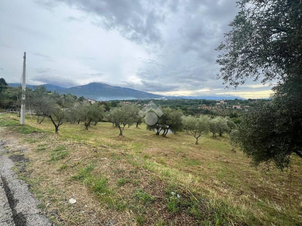 immagine annuncio 1 di 13