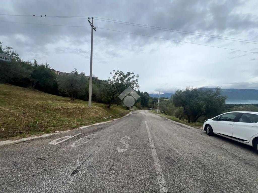 immagine annuncio 3 di 13