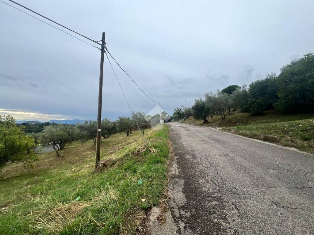 immagine annuncio 5 di 13