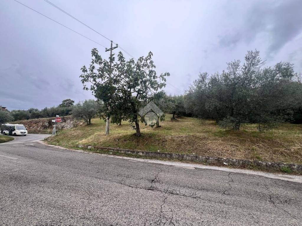 immagine annuncio 6 di 13