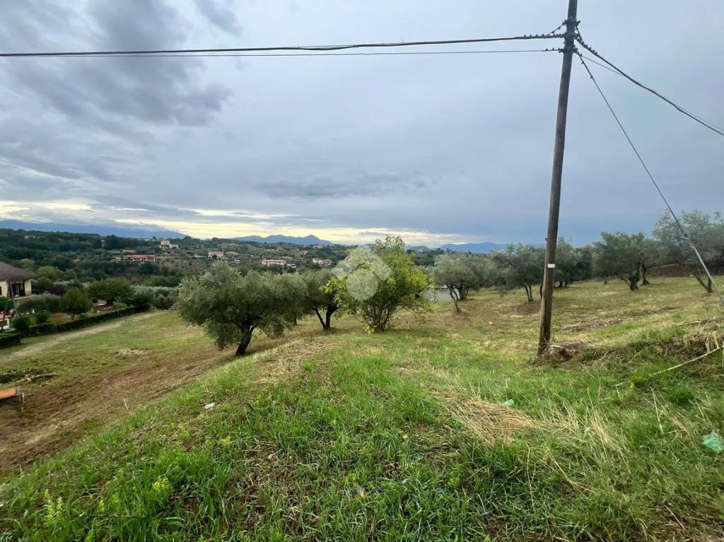 immagine annuncio 10 di 13