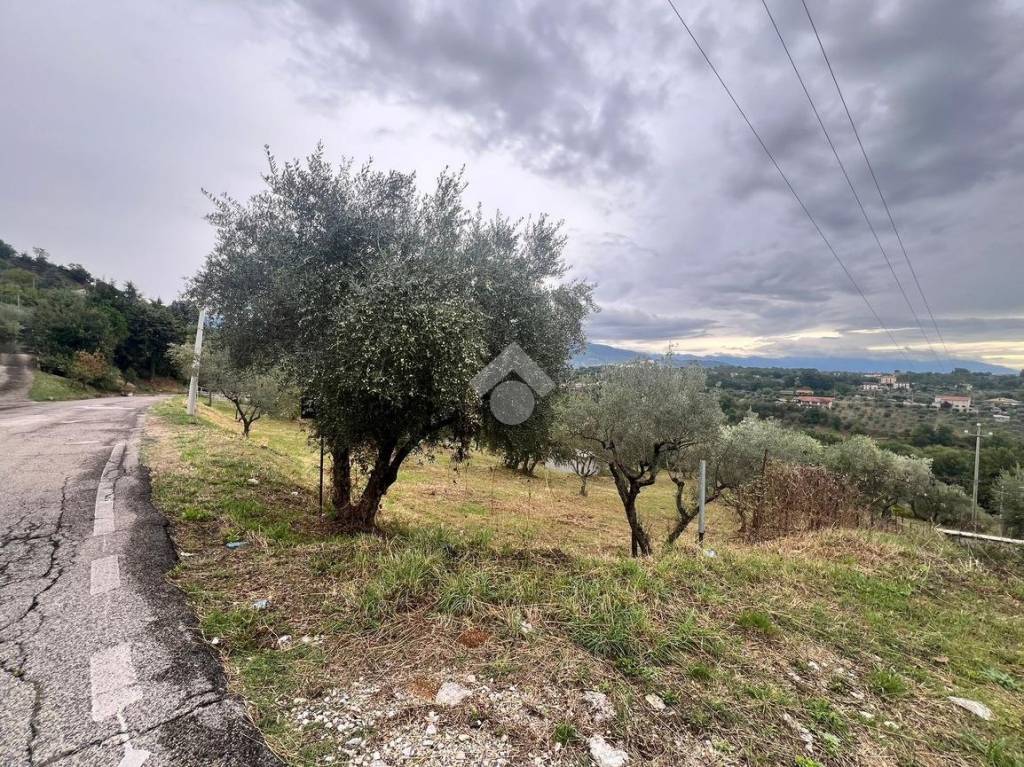 immagine annuncio 11 di 13