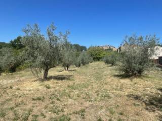 Terreno residenziale in vendita a castel viscardo via castel viscardo, 107