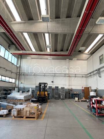 immagine annuncio 1 di 9