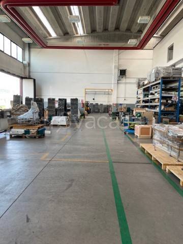 immagine annuncio 2 di 9