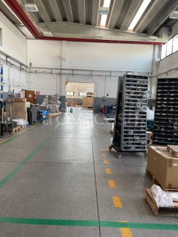 immagine annuncio 3 di 9