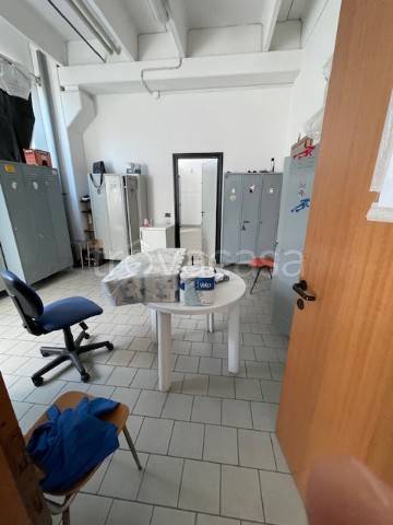 immagine annuncio 4 di 9